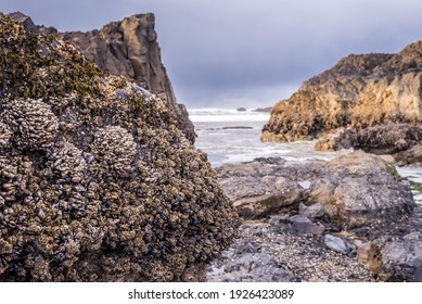 Oregon Coast Before A Storm