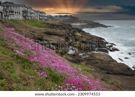 Similar – Image, Stock Photo Armeria maritima, beach grass carnation, on salt marshes near the coast