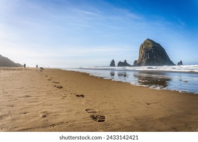 Oregon coast scenic Haystack Rock and its reflections in Canon Beach.  - Powered by Shutterstock