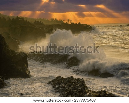 Oregon Coast, Shore Acres State Park, Crashing waves over rock