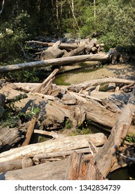 Oregon Coast Trail