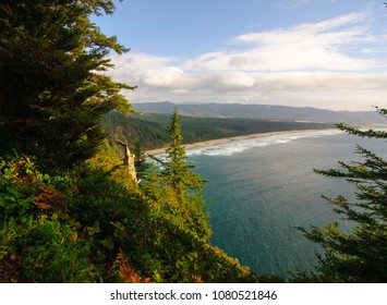 Oregon Coast Trail Along The Ocean