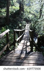 Oregon Coast Trail Wooden Foot Bridge Outside Cannon Beach.