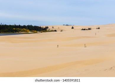 Oregon Dunes National Recreation Area, USA