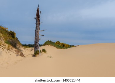 Oregon Dunes National Recreation Area, USA