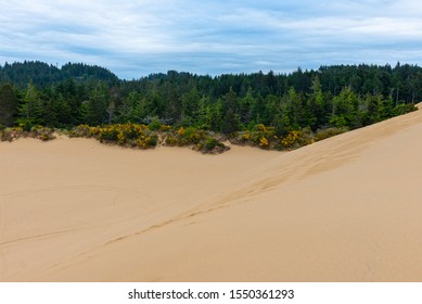 Oregon Dunes National Recreation Area, USA