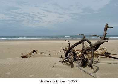 Oregon Dunes National Recreation Area