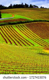 Oregon Farmland  ( Wine Country)