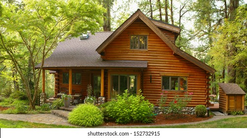 Oregon Forest Modern Log Cabin 