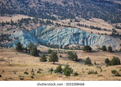 Oregon Fossil Beds Near The John Day River