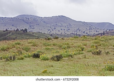 Oregon High Desert 