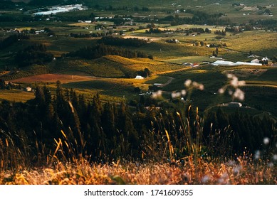 Oregon Mountain Fram Lands, Late Spring Early Summer