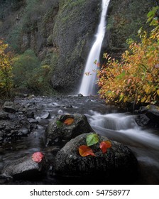 Oregon, Multnomah County ,Waterfall And Stream