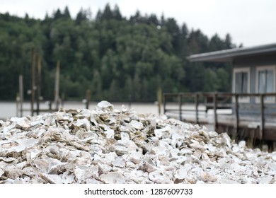 Oregon Oyster Shell Piles