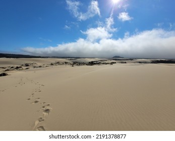 Oregon Sand Dunes, Oregon Coast