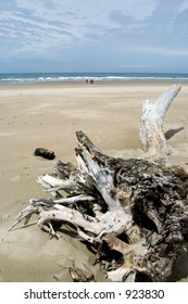 Oregon Sand Dunes National Recreation Area