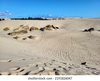 Oregon Sand Dunes While Out Playing