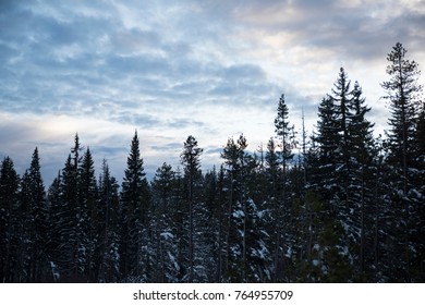 Oregon Sunset Landscape With Treeline