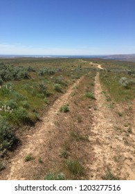 Oregon Trail Ruts