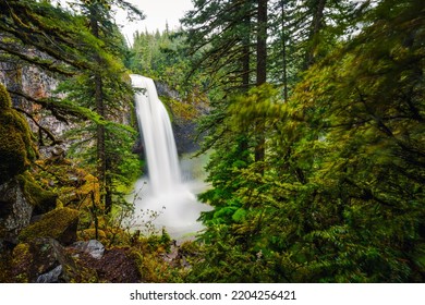 Oregon Waterfalls Of Umpqua National Forest