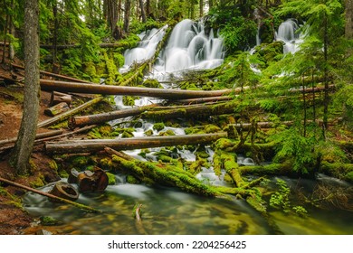 Oregon Waterfalls Of Umpqua National Forest