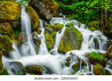 Oregon Waterfalls Of Umpqua National Forest