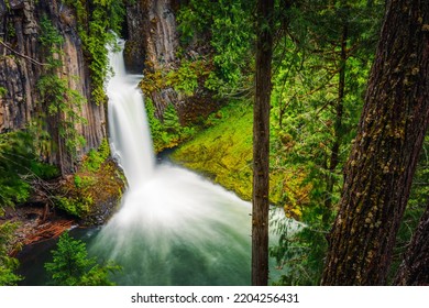 Oregon Waterfalls Of Umpqua National Forest