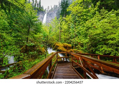 Oregon Waterfalls Of Umpqua National Forest