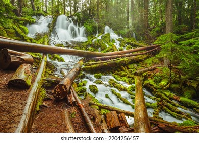 Oregon Waterfalls Of Umpqua National Forest