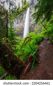 Oregon Waterfalls Of Umpqua National Forest