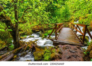 Oregon Waterfalls Of Umpqua National Forest