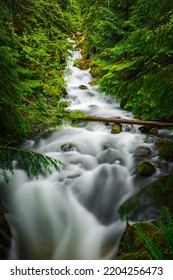 Oregon Waterfalls Of Umpqua National Forest