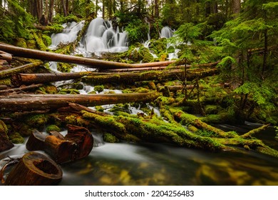 Oregon Waterfalls Of Umpqua National Forest