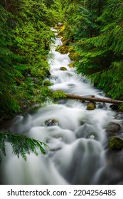 Oregon Waterfalls Of Umpqua National Forest