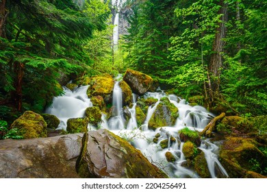 Oregon Waterfalls Of Umpqua National Forest