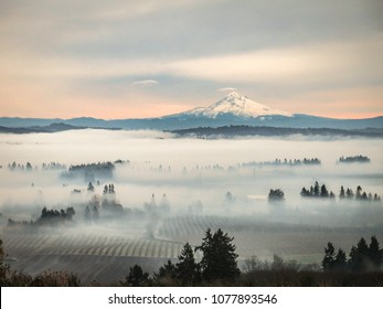 Oregon Wine Country