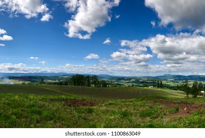 Oregon Wine Country