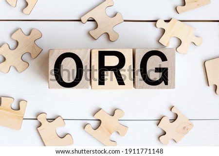 ORG- text on wood cubes on a WHITE background. puzzles