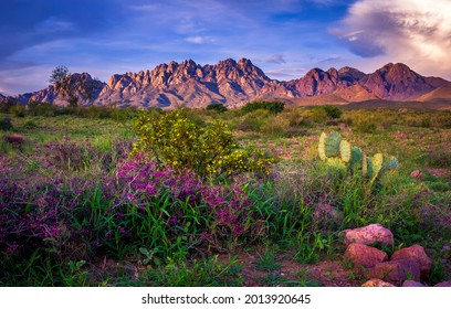 Organ Mountains, Las Cruces - New Mexico 