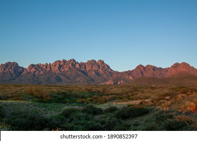 The Organ Mountains Of New Mexico Under The Desert Sun