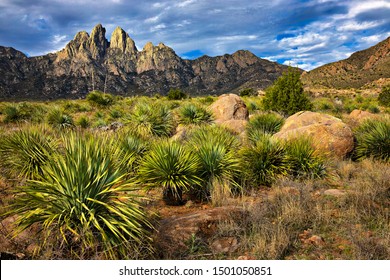 Organ Mountains, Southern New Mexico