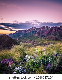 Organ Mountains At Sunset