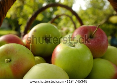 Similar – Foto Bild Frische Äpfel Lebensmittel