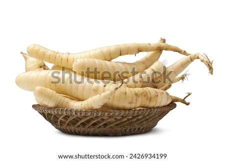 organic arrowroot rhizomes on a tray, maranta arundinacea, tropical plant known for starchy rhizomes harvested for various culinary purposes, as gluten free alternative, isolated on white background