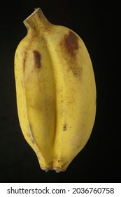 Organic Banana Showing Mutant Double Banana Found On Natural Banana Plant In Native Country Not For Super Market Sales 

