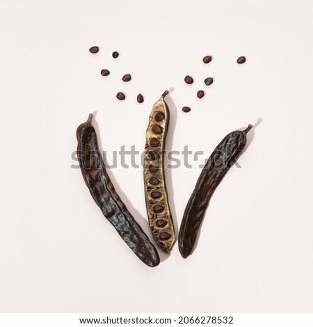 Organic carob pods, powder and carob molasses on a beige background, locust bean healthy food, Ceratonia siliqua harnup. Natural vegan eating. Creative food background. square. Flat lay.Top view.