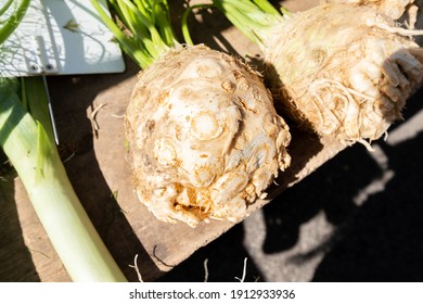 Organic Celeriac At A Small Farmers Market