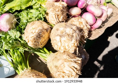 Organic Celeriac At A Small Farmers Market