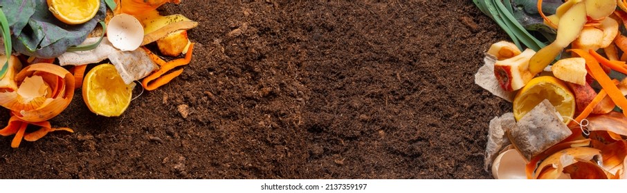 Organic Compost - Biodegradable Kitchen Waste And Soil