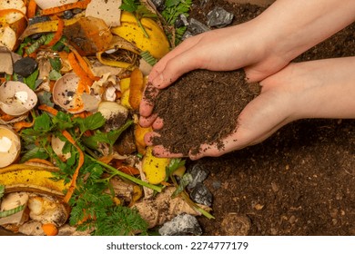 organic compost - biodegradable kitchen waste and soil. Layers of biowaste is covering with soil - Shutterstock ID 2274777179